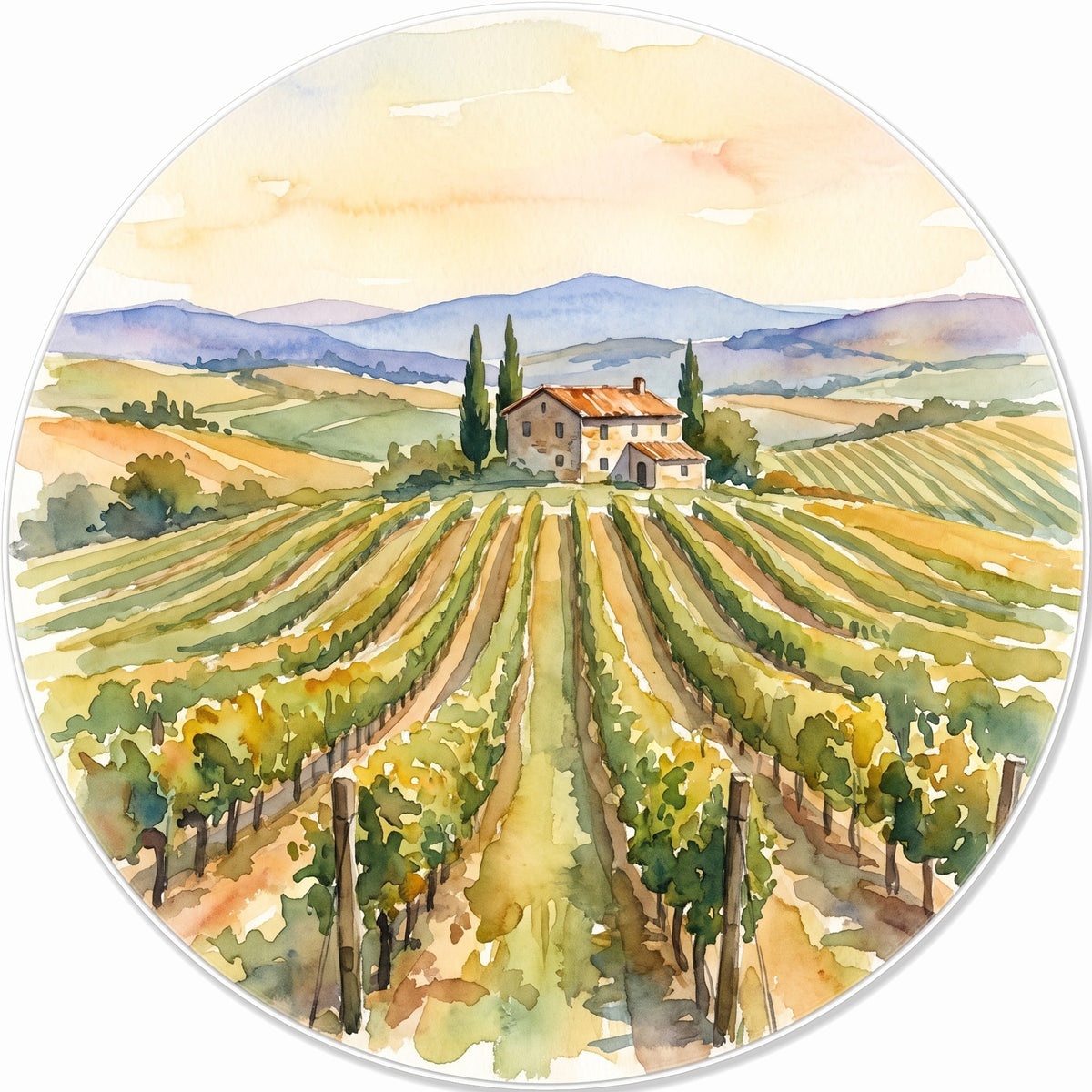 Vineyard